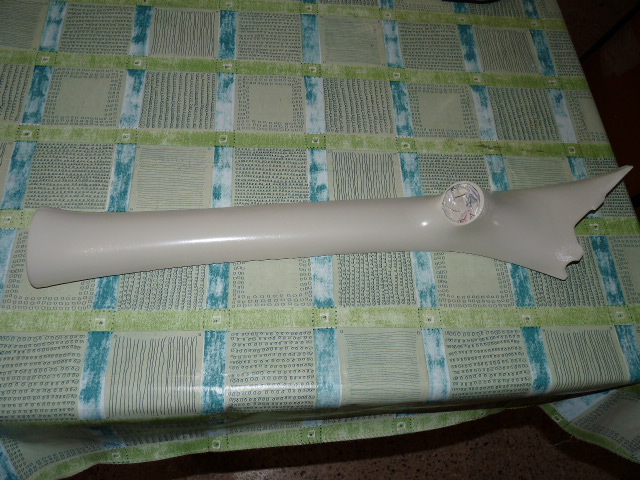 [Immagine: 2009112184827_P1010211.JPG]